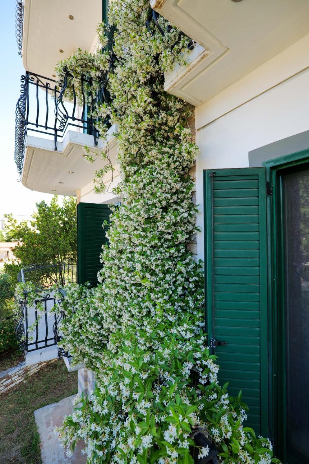 Sea La Vie Apartments Ksamil Exterior foto